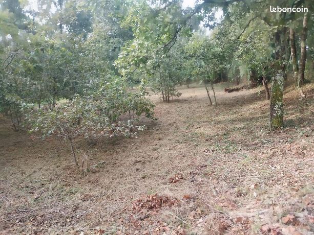 Terrain 849 m² Saugnacq Et Muret