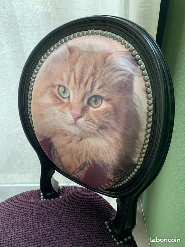Chaise médaillon chat en costume (image 1)
