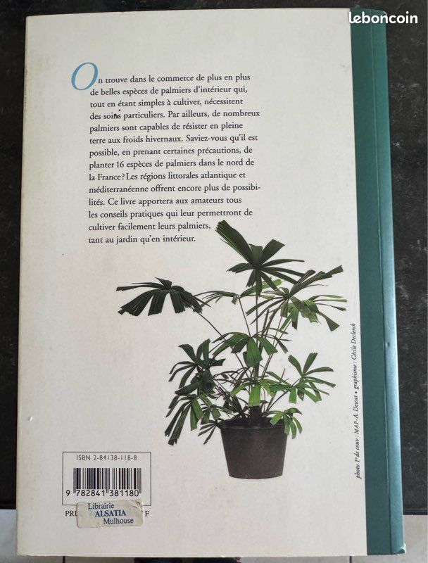 Livre sur les palmiers (image 2)