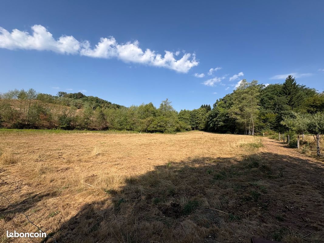 Terrain 7299 m² · à Champagney · 7 299 m² · 116 000 €