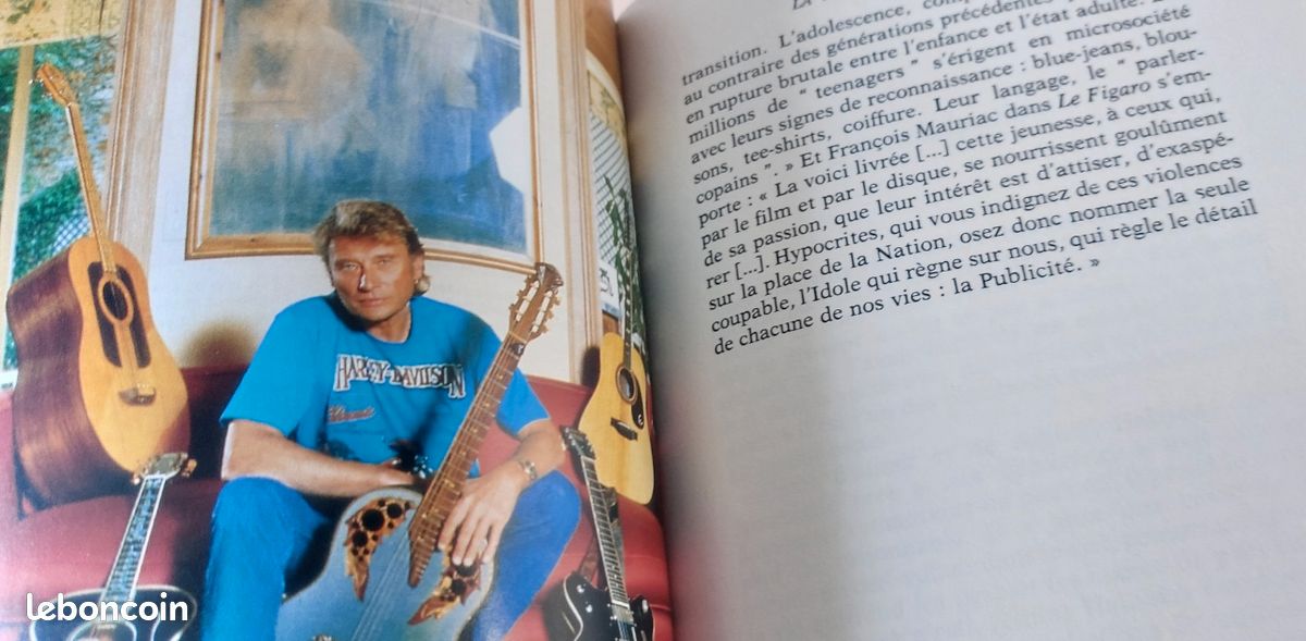 Johnny, la dernière des legendes (image 5)