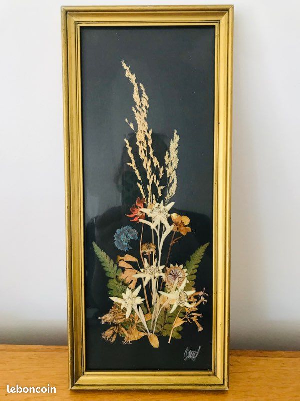 Joli tableau sous verre vintage bouquet fleurs séchées Edelweiss et autres fleurs (image 1)