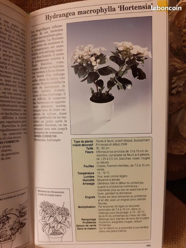 Livre les plantes d'intérieur (image 5)