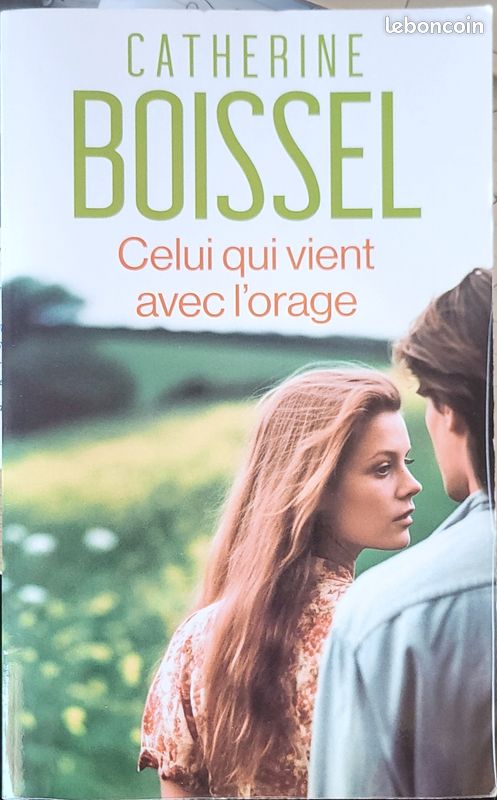 Celui qui vient avec l'orage de Catherine Boissel (image 1)