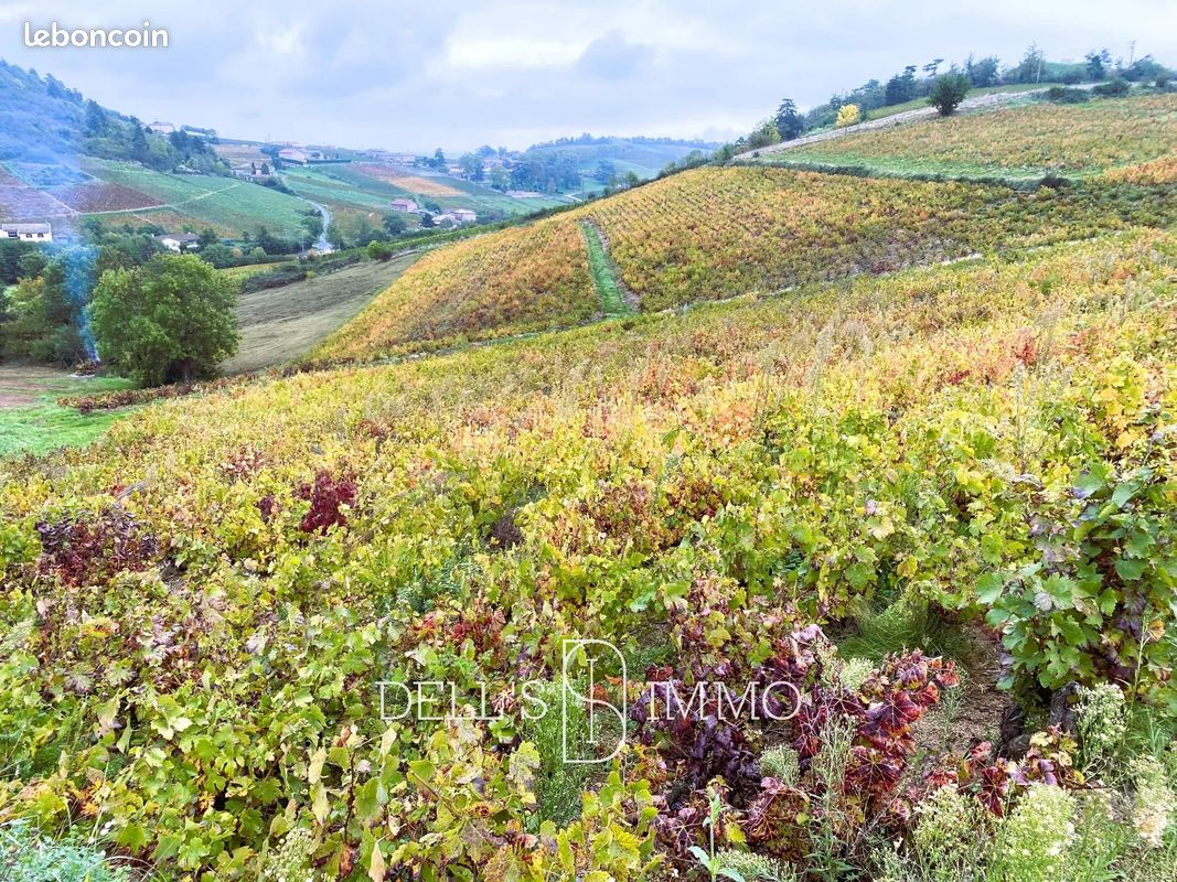 Terrain 13475 m² · à Fleurie · 13 475 m² · 95 000 €