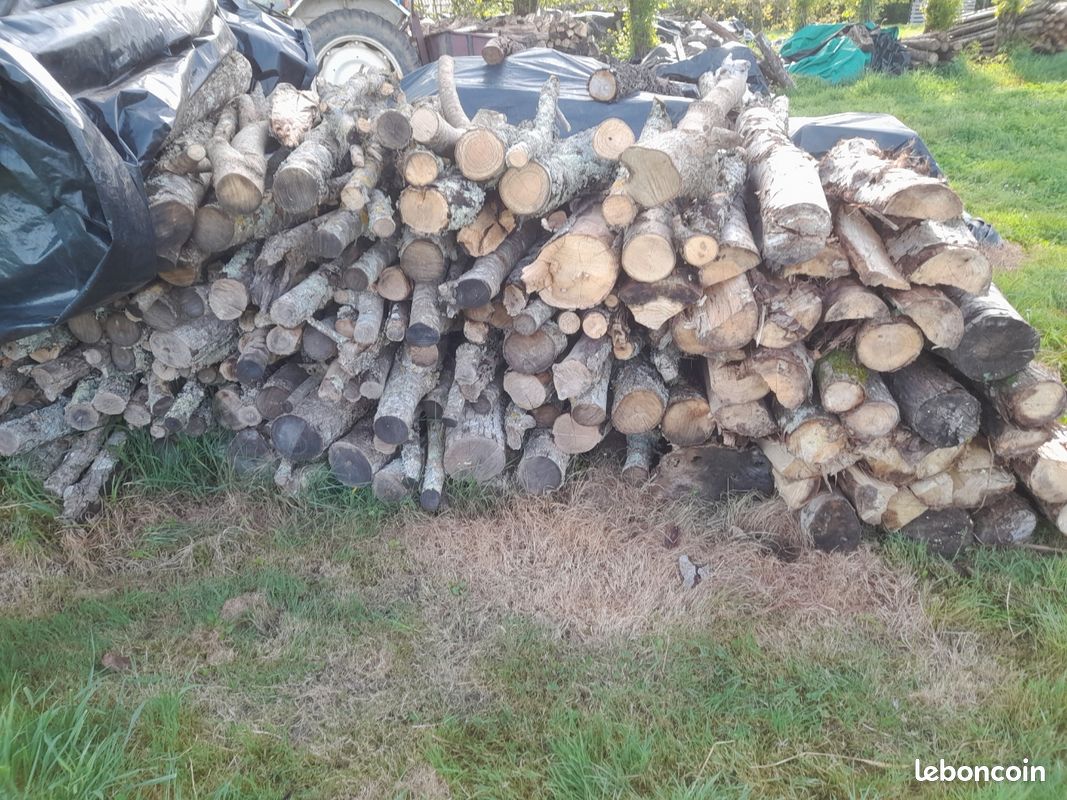 Vend bois de chauffage (image 1)