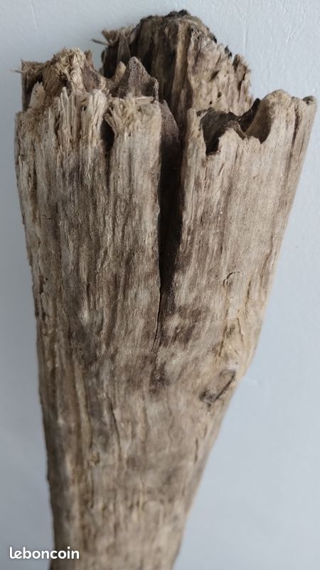 Morceau De Bois Flotté Premier Choix - Forme Large 12x28 Cm - Naturel