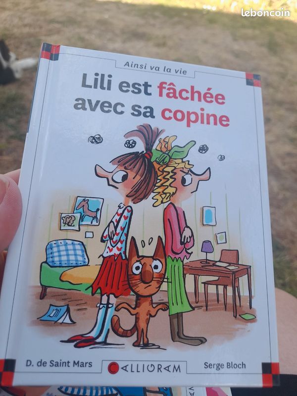Lili est fâchée avec sa copine n 14 (image 2)