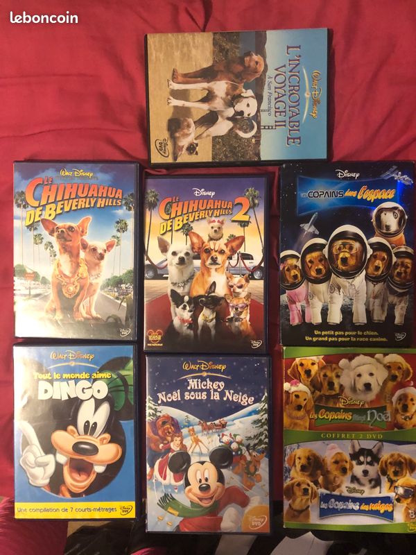 Dvd d’animation (image 1)