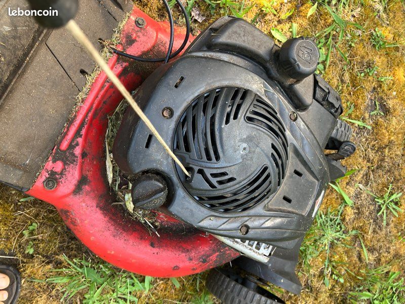 Tondeuse à gazon Briggs & Stratton (image 6)