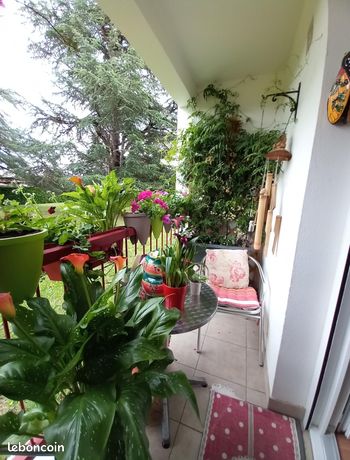 Appartement 3 pièces 76 m²