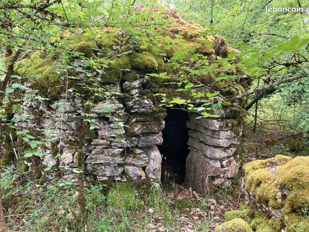 Caselle sur Terrain agricole en zone naturelle de 2 hectares ; ancienne truffière de 200 chênes