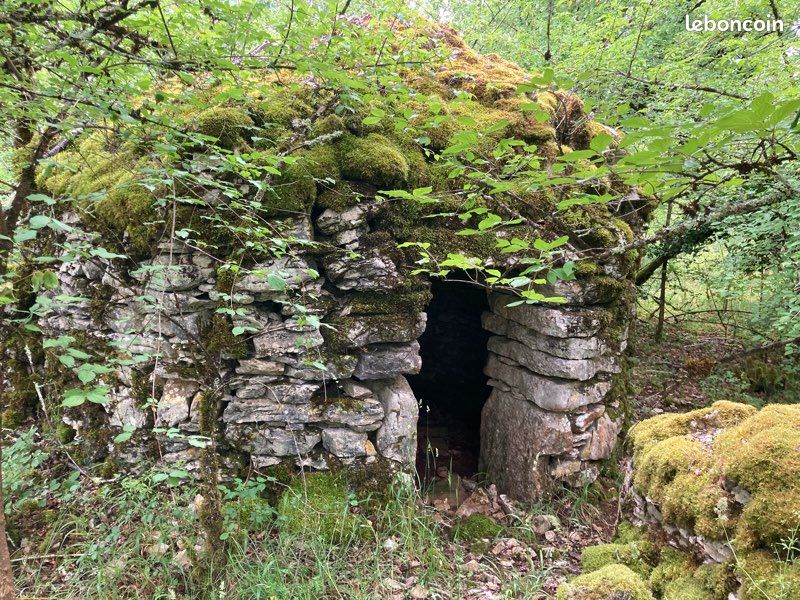 Caselle sur Terrain agricole en zone naturelle de 2 hectares ; ancienne truffière de 200 chênes · à Varaire · 17 900 €