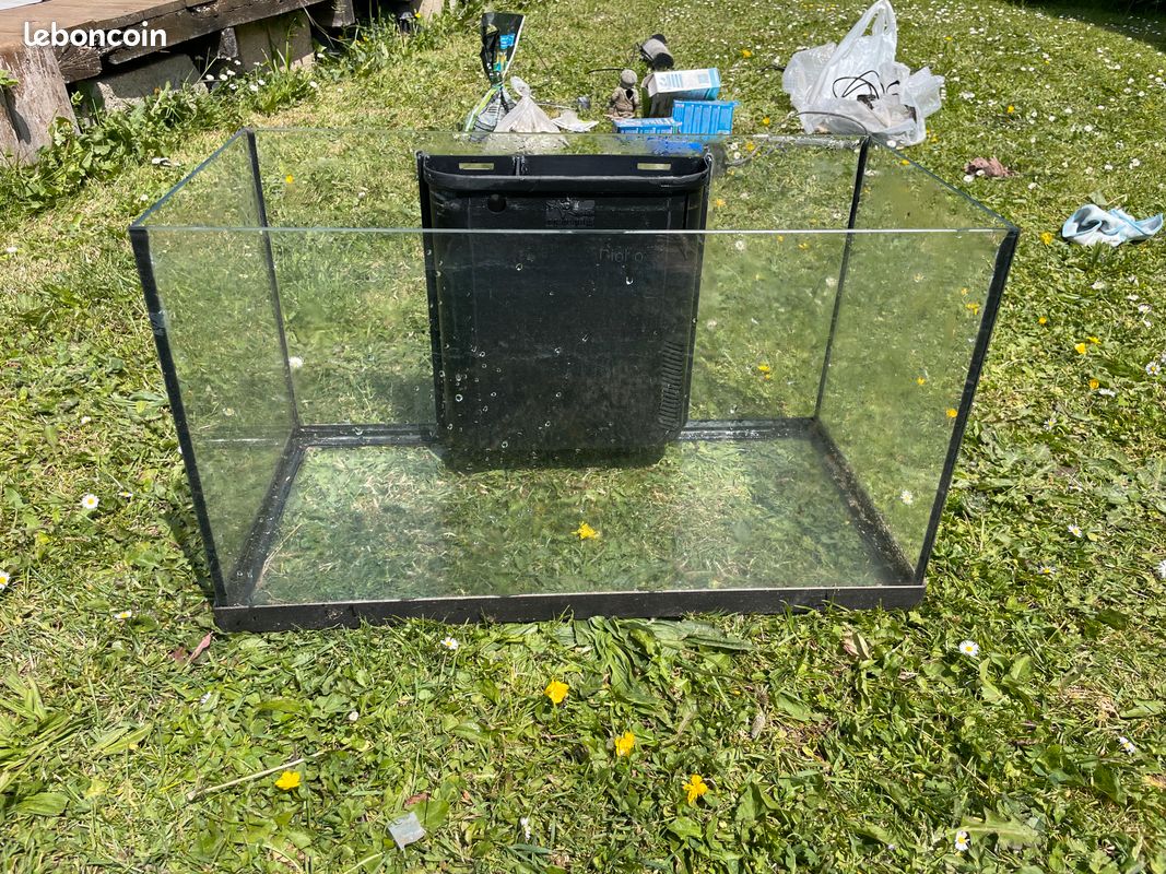 Aquarium (image 1)
