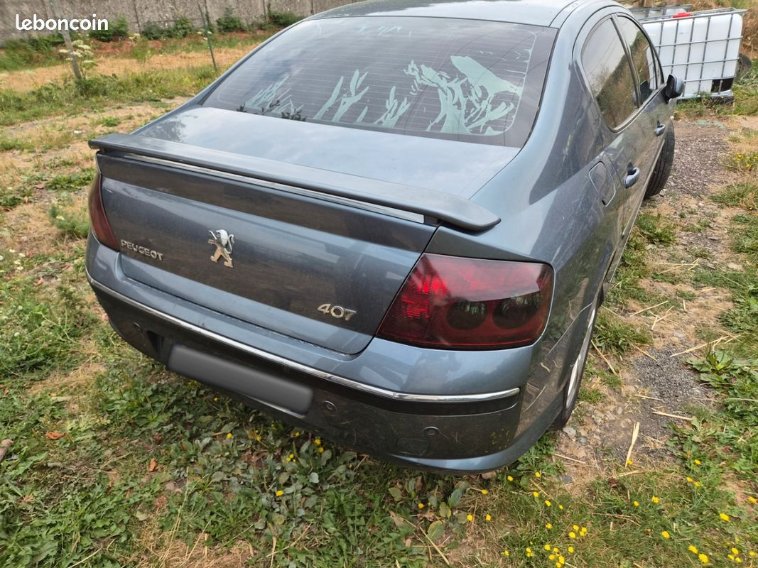 Peugeot 407 2l hdi 16v 138cv (image 2)