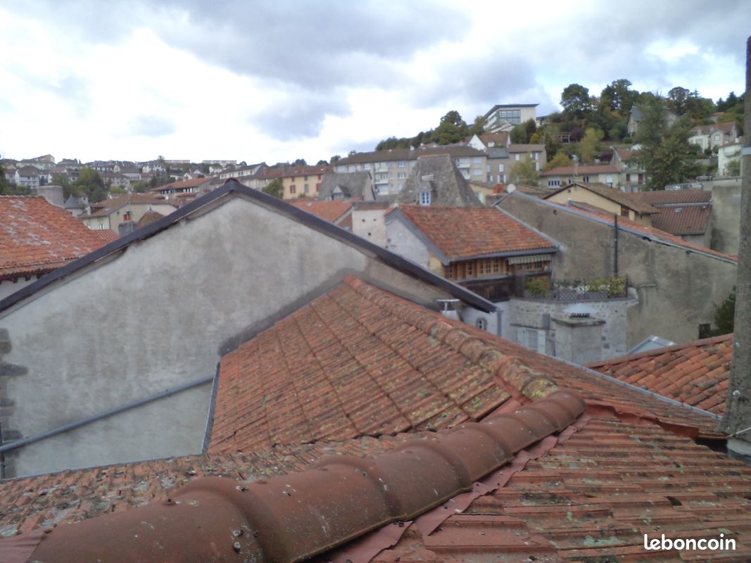 Appartement centre ville atypique (image 9)