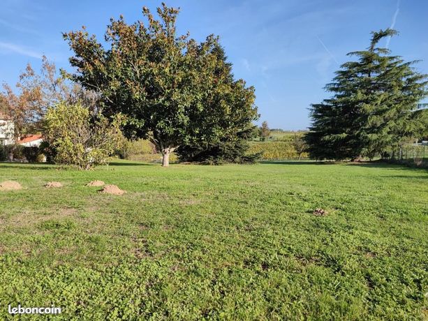 Terrain 1 160 m² Baigneaux
