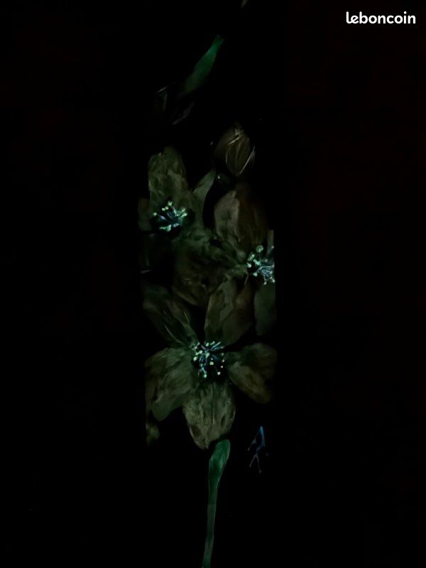 Bracelet en cuir phosphorescent (image 6)