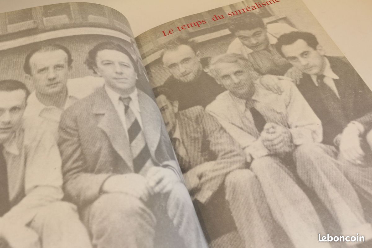 DALI catalogue expo retrospective-1920-1980-1979 edition-originale Beaubourg (image 5)