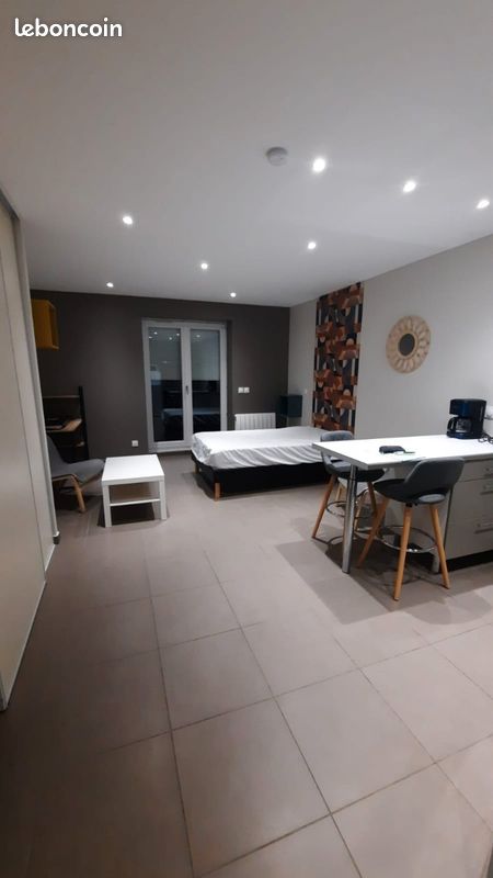 Appartement 1 pièce 33 m² · à Saint-Étienne · 33 m² · 450 €
