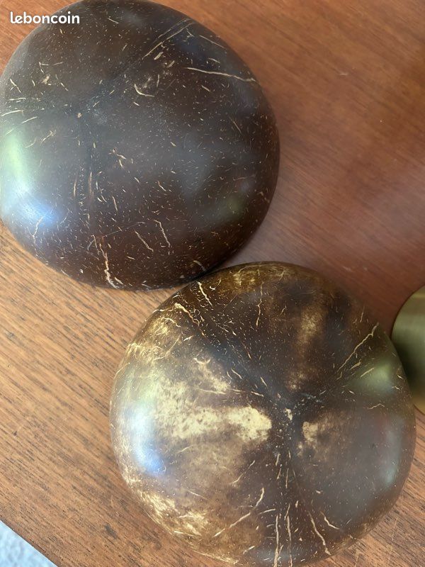 Bol en noix de coco (image 3)