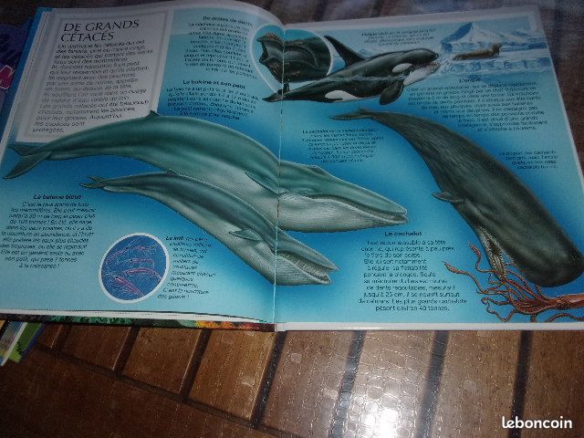 Livre enfant (image 2)