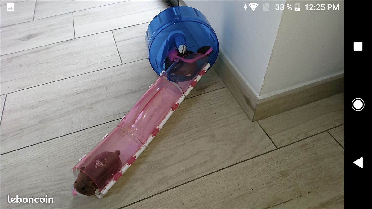 Circuit pet shop (image 1)