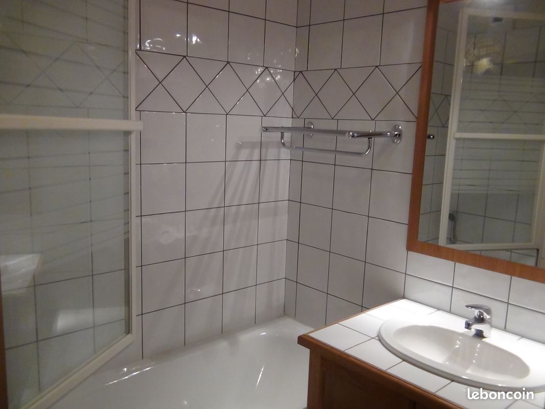 Appartement T2 classé 3*, avec garage, 200 m télécabine, vue Massif du Mont-Blanc (image 7)