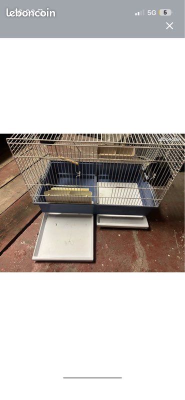 Cage oiseaux (image 2)