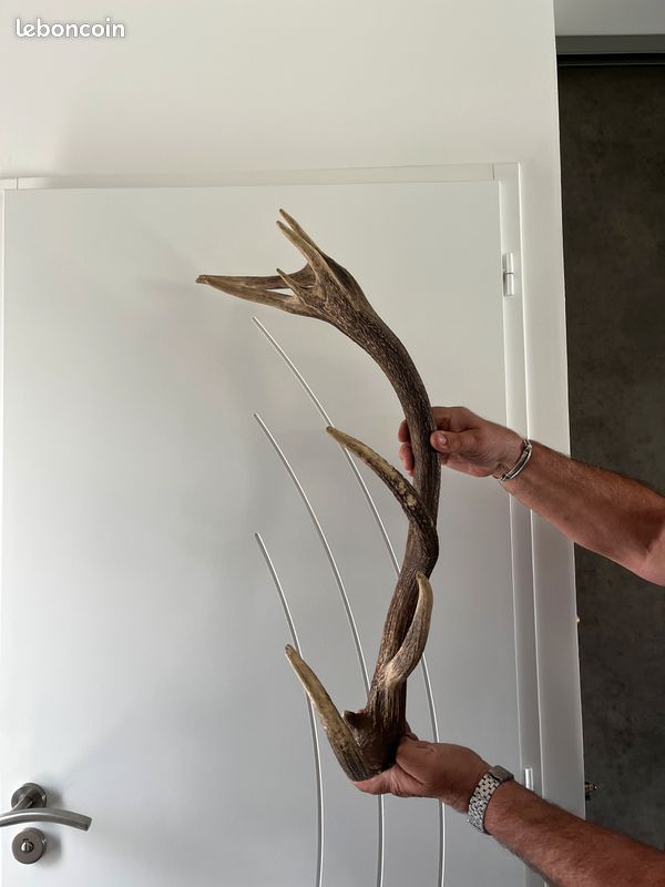 Bois déco grange ou pièces de chasse (image 5)