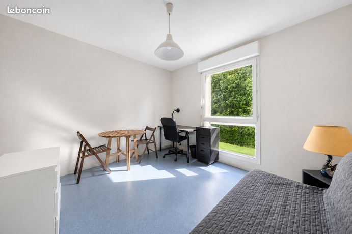 Studio 1 pièce 20 m² — 2