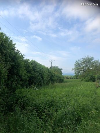 Terrain à bâtir