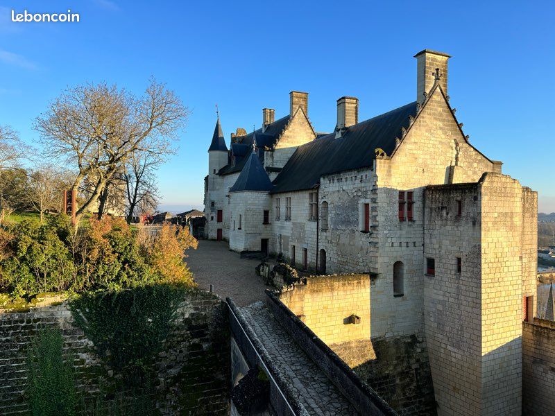 Location Maison 6 personnes - Gîte 3* Au Coeur d'Azay (image 20)