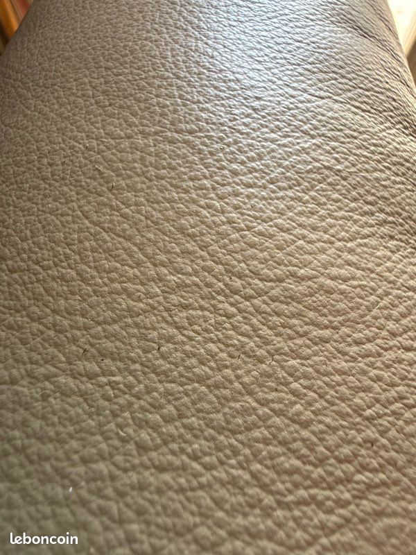 Fauteuil releveur personne âgée (image 1)