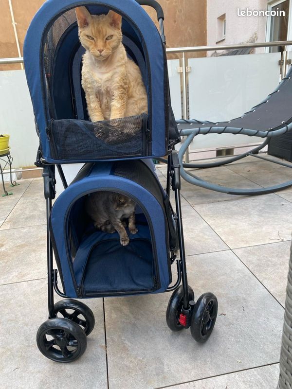 Pousette pour chien ou chat deux étages (image 1)