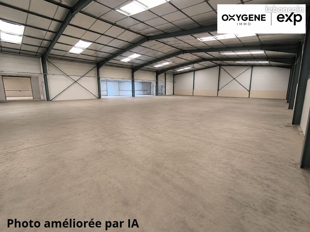 Immeuble 1866 m² · à Le Boulou · 1 866 m² · 1 868 000 €