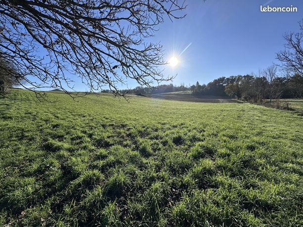 Terrain 4200 m² Saint Aulaye-Puymangou