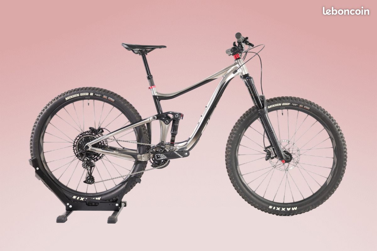 GIANT Reign 29 2 2020 Taille M - Reconditionné en France | Vélo Vtt Musculaire (image 1)