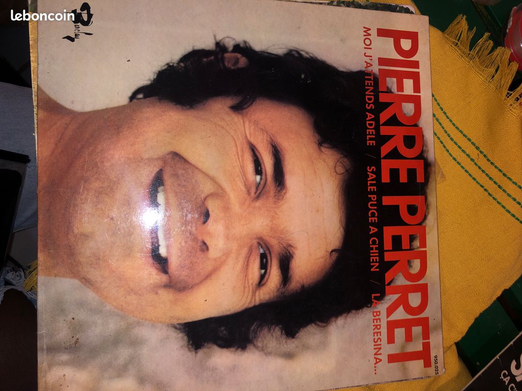 Vinyle-Pierre Perret (image 1)