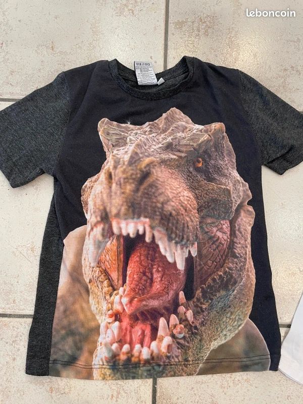 Lot De 5 T-Shirts Dinosaures Vintage - Manches Longues Et Brillants Dans Le Noir - Tailles 4/5 Et 6/7 Ans