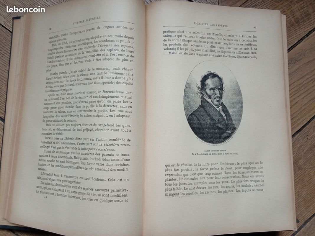 Livre ancien (image 3)