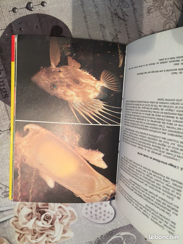 Livre sur la faune du littoral (image 3)