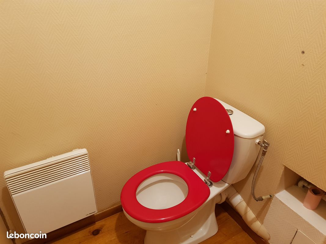 Location gîte meublé studio proche centrale Belleville sur Loire (image 9)