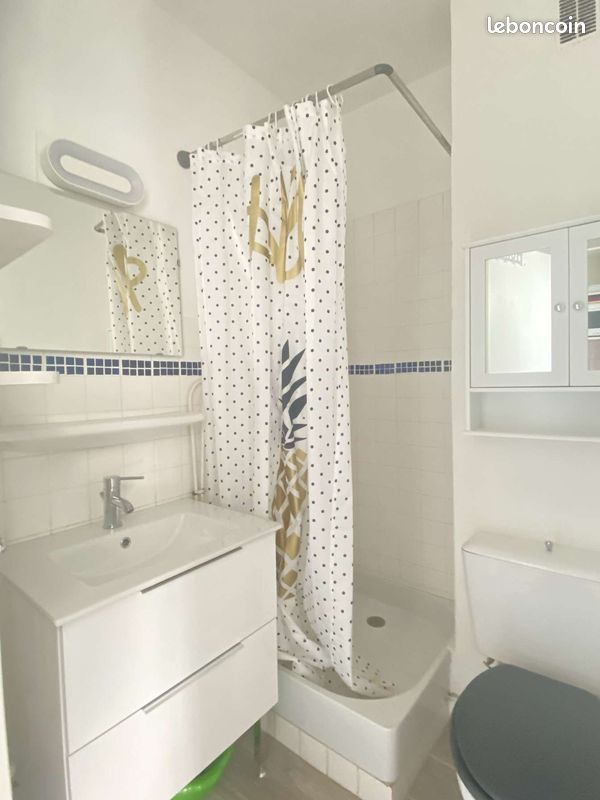 STUDIO 15m2 MEUBLÉ - Limoges 87000 (image principale 2)