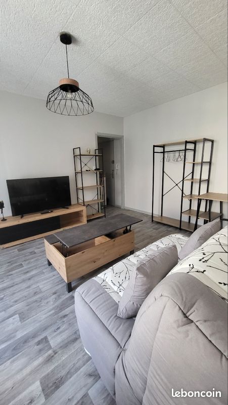 Studio meublé - Limoges 87000 Centre-Hôtel de Ville Emailleurs (image principale 1)