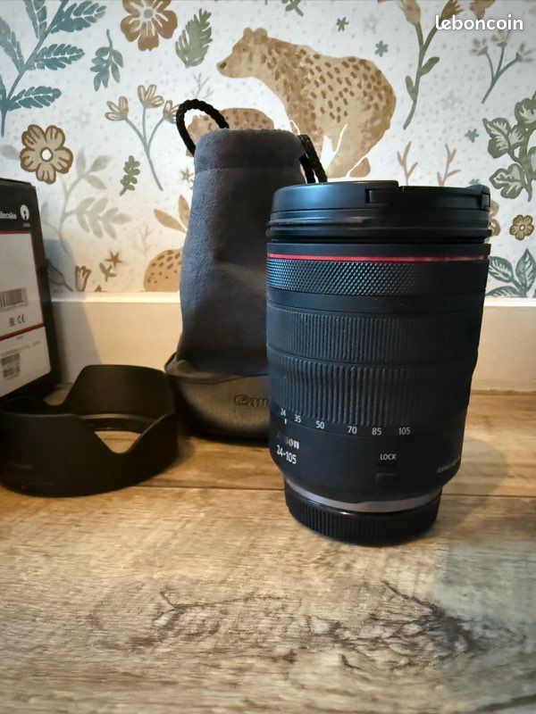 Canon RF 24-105 f4 (image 1)
