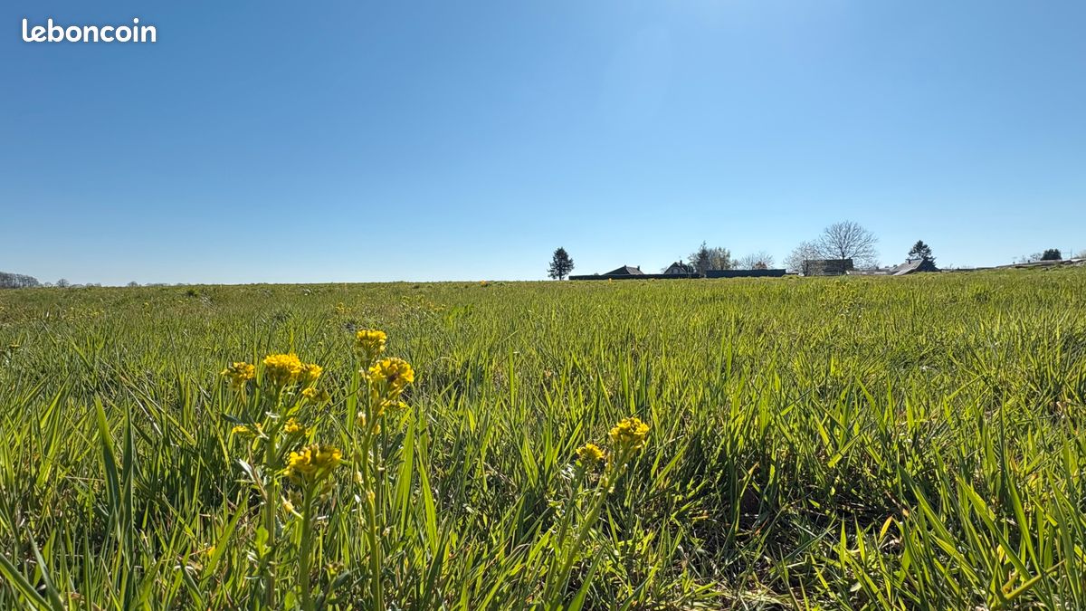 Terrains à bâtir Allouville-Bellefosse · 63 000 €