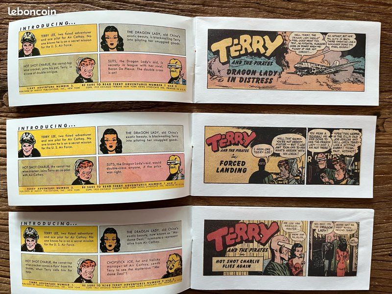 Terry et les pirates (image 2)