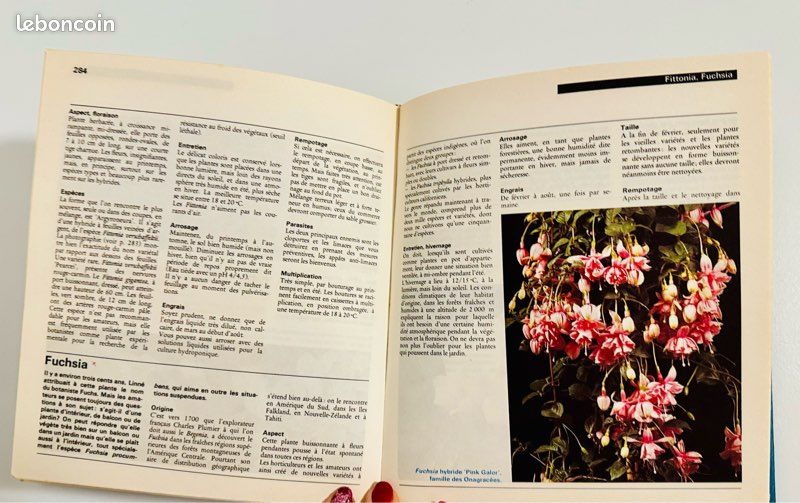 Encyclopédie des plantes d’appartement ENVOI GRATUIT (image 4)