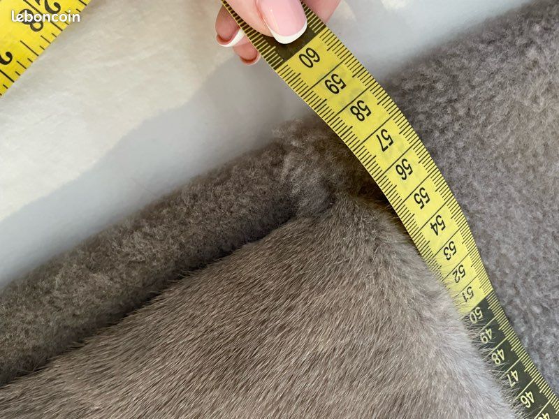 Manteau en fourrure avec une capuche en laine Manzoni 24 (image 18)